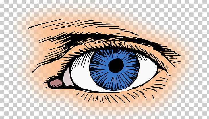 Human Eye Iris PNG, Clipart, Blue, Blue Eye, Closeup, Download, Eye Free PNG Download