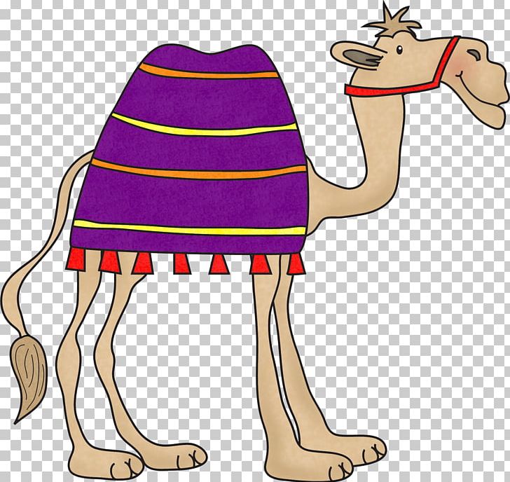 Ancient Egypt Egyptian Pyramids Pre-school Giza Plateau PNG, Clipart, Alive, Ancient History, Arabian Camel, Camel, Camel Like Mammal Free PNG Download