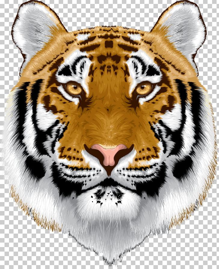 Bengal Cat Sumatran Tiger White Tiger Animal PNG, Clipart, Animal, Animals, Bengal Cat, Big Cats, Carnivoran Free PNG Download