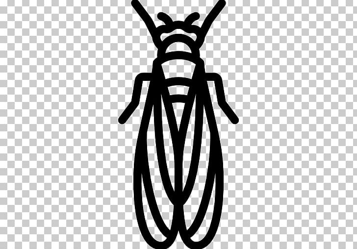 Insect Computer Icons PNG, Clipart, Animal, Animals, Artwork, Black And White, Cicada Free PNG Download