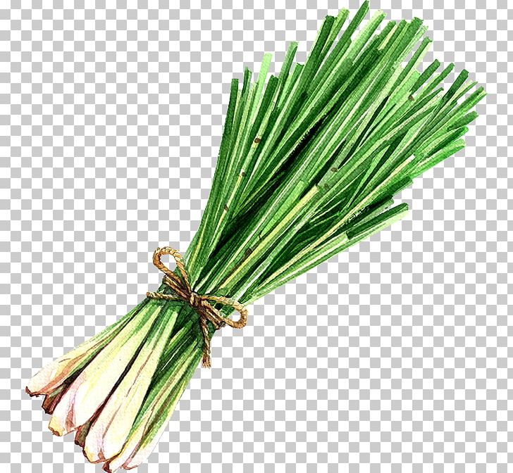 Lemongrass PNG, Clipart, Art, Cartoon, Clip Art, Computer Icons, Food Free PNG Download