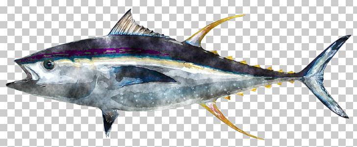 Yellowfin Tuna Food Fishing PNG, Clipart, Albacore, Atlantic Bluefin Tuna, Atlantic Blue Marlin, Billfish, Bonito Free PNG Download