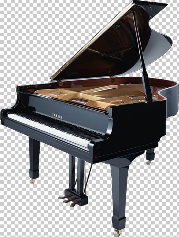 Nampa Grand Piano Musical Instrument Keyboard PNG, Clipart, Celesta, Digital Piano, Electric Piano, Electronic Instrument, Keyboard Piano Free PNG Download