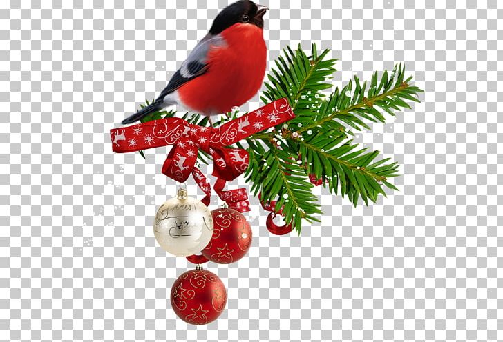 Christmas PNG, Clipart, Art Christmas, Bird, Branch, Button Christmas Tree, Christmas Free PNG Download
