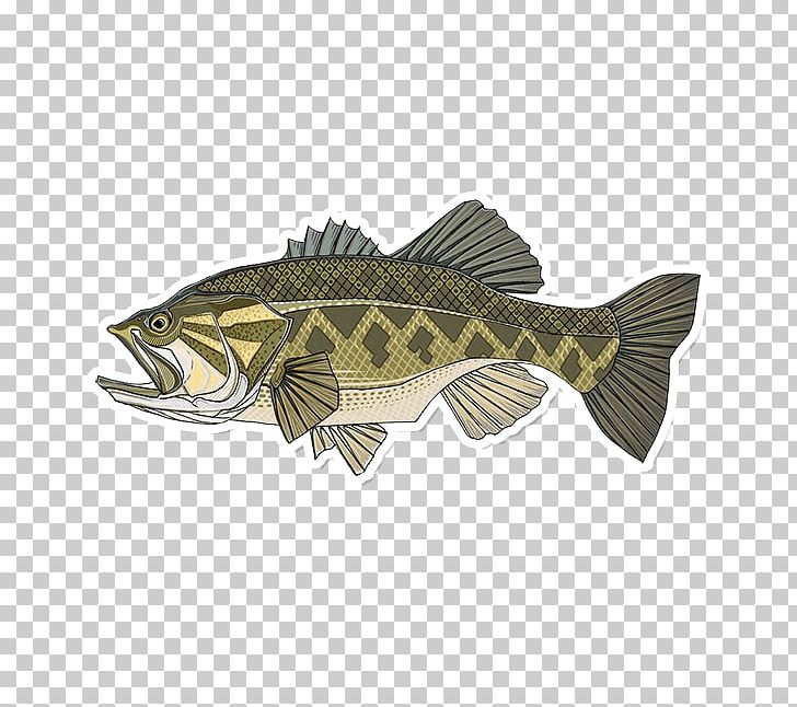 Largemouth Bass Smallmouth Bass Bass Fishing PNG, Clipart, Angling, Bass, Bass Fishing, Casey, Catfish Free PNG Download