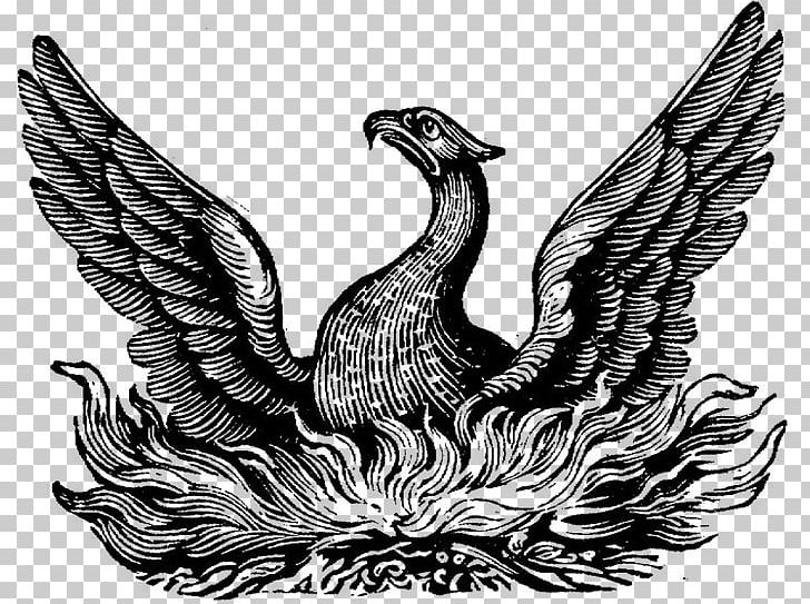 Phoenix Symbol Definition Word Meaning PNG, Clipart, Alchemical Symbol, Art, Beak, Bird, Bird Of Prey Free PNG Download
