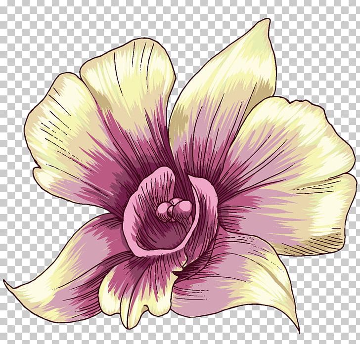 T-shirt Graphic Design Floral Design PNG, Clipart, Clothing, Download, Drawing, Flora, Floral Design Free PNG Download