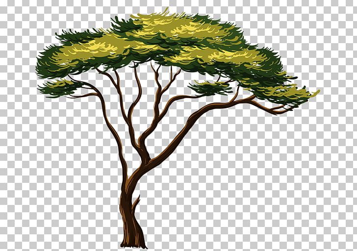 African Trees PNG, Clipart, African Trees, Art, Baobab, Branch, Conifer Free PNG Download