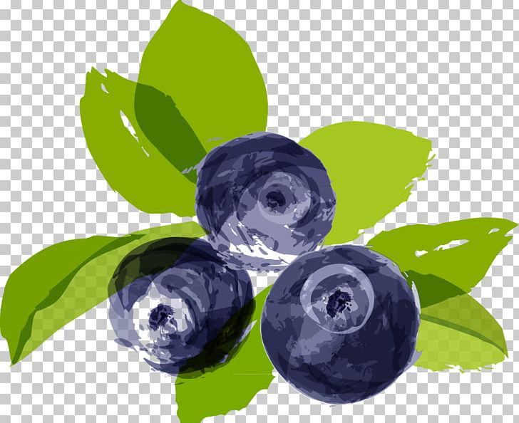 Bilberry Blueberry Illustration PNG, Clipart, Berry, Blueberry Vector, Cartoon, Comics, Explosion Effect Material Free PNG Download
