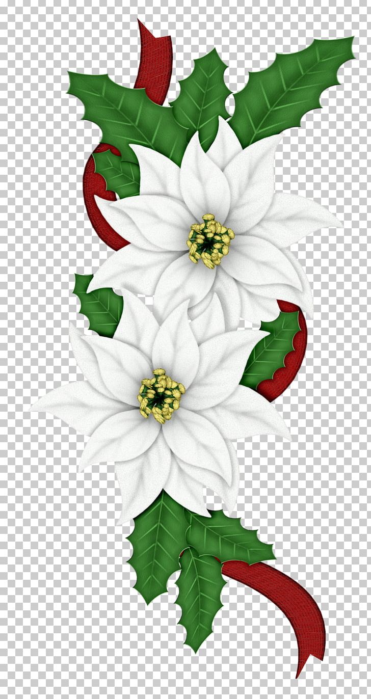 Christmas Poinsettia Candy Cane Flower PNG, Clipart, Aquifoliaceae, Aquifoliales, Art, Artwork, Blue Free PNG Download