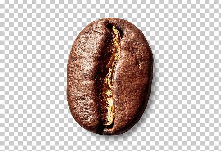 Coffee Bean Schwarzmahler Espresso Commodity PNG, Clipart, Arabica Coffee, Bean, Black, Coffee, Coffee Bean Free PNG Download