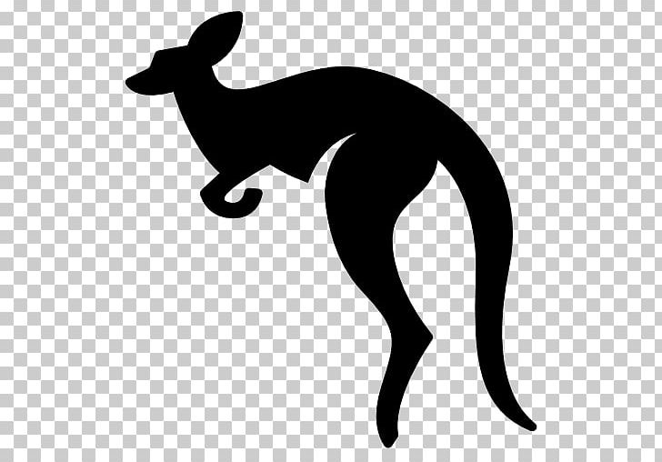 Macropodidae Koala Red Kangaroo Computer Icons PNG, Clipart, Animals, Artwork, Black And White, Carnivoran, Computer Icons Free PNG Download