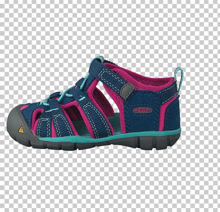 Sneakers Hiking Boot Shoe Walking PNG, Clipart, Aqua, Berry Bugs, Crosstraining, Cross Training Shoe, Footwear Free PNG Download