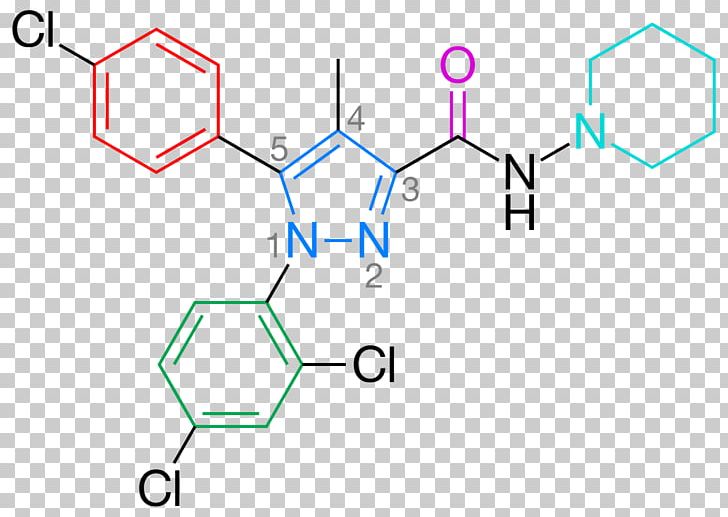 3-pyridinol Pharmaceutical Drug 4-Pyridone Rimonabant 2-Pyridone PNG, Clipart, 2pyridone, Angle, Anorectic, Area, Beta Blocker Free PNG Download