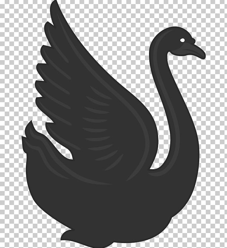 Duck Cygnini Goose Bird PNG, Clipart, Anatidae, Animals, Anseriformes, Beak, Bird Free PNG Download