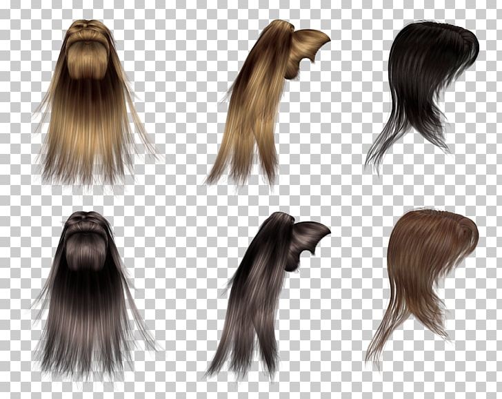 Hairstyle Wig Hair Coloring PNG, Clipart, Black Hair, Brown Hair, Fur, Hair, Hair Coloring Free PNG Download