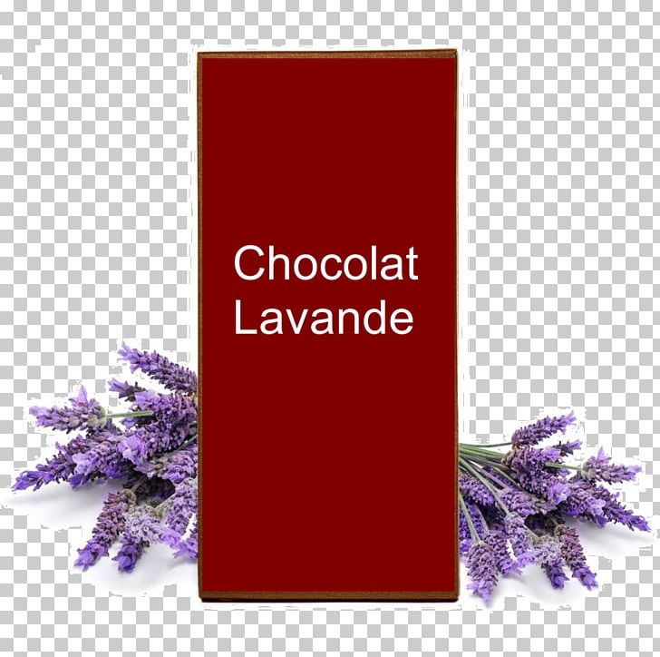 Lavender Oil Essential Oil English Lavender Aromatherapy PNG, Clipart, Argan Oil, Aromatherapy, Cosmetics, Drugstore, English Lavender Free PNG Download