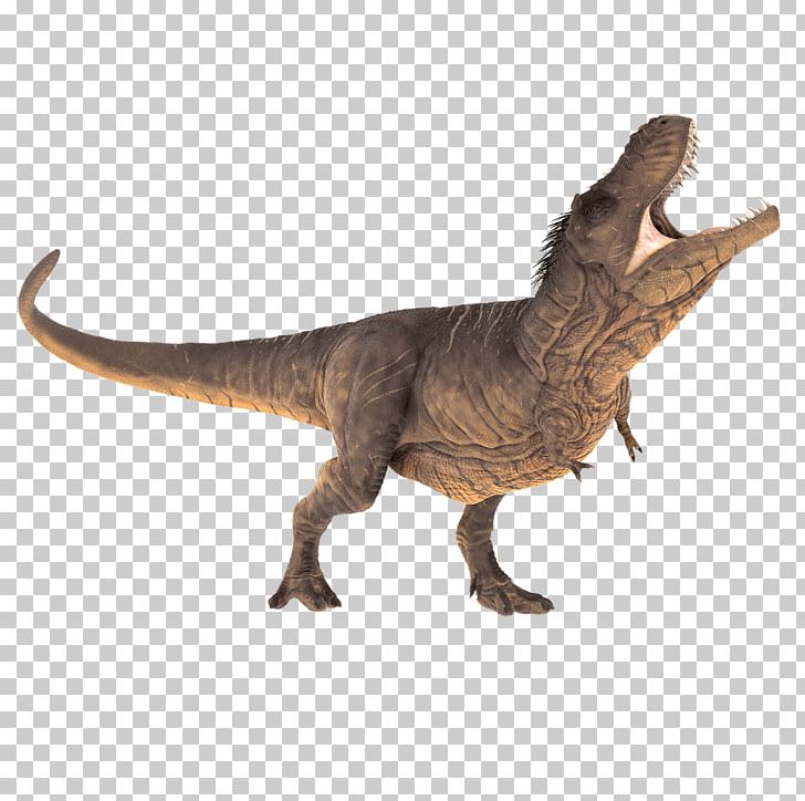 Dinosaur Velociraptor Triceratops Stegosaurus Tyrannosaurus Rex PNG, Clipart, Animal, Animal Figure, Carnivore, Dinosaur, El Patio Free PNG Download