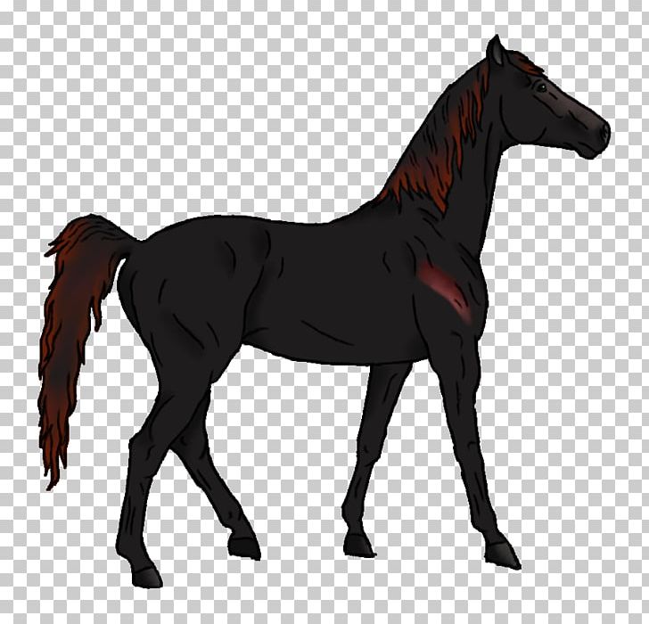 Mustang Pony Foal Stallion Colt PNG, Clipart, Animal Figure, Bridle, Colt, Florida Kraze Krush Soccer Club, Foal Free PNG Download