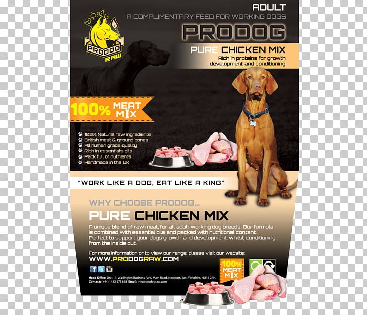 Raw Foodism Raw Feeding Dog Nutrition Eating PNG, Clipart, Advertising, Animal Nutrition, Diet, Dog, Dog Food Free PNG Download
