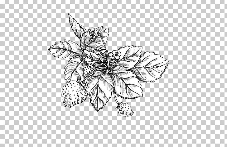Shortcake Wild Strawberry Drawing Sketch PNG, Clipart, Art, Black And White, Butterfly, Flower, Flowers Free PNG Download