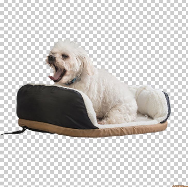 Dog Breed Pet Cat Amazon.com PNG, Clipart, Amazoncom, Animal, Animals, Bed, Cat Free PNG Download