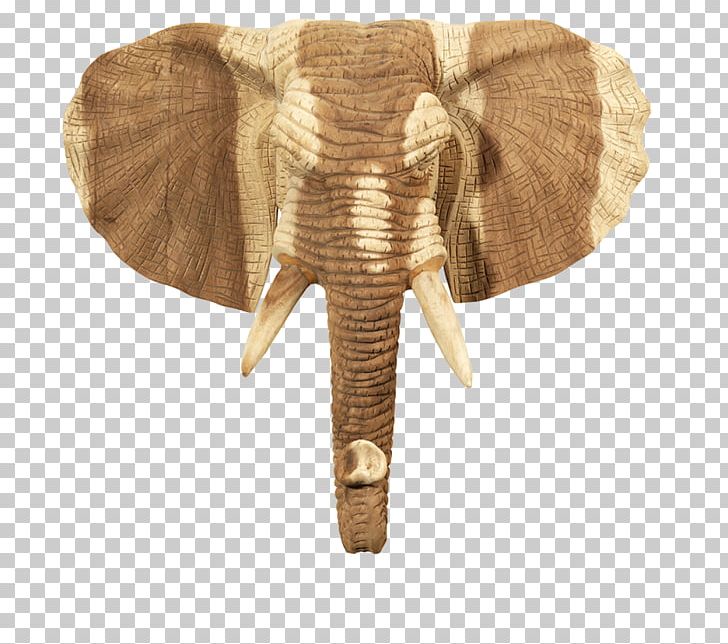 Indian Elephant African Elephant Wood Curtiss C-46 Commando Elephantidae PNG, Clipart, African Elephant, Animal, Curtiss C46 Commando, Elephant, Elephantidae Free PNG Download