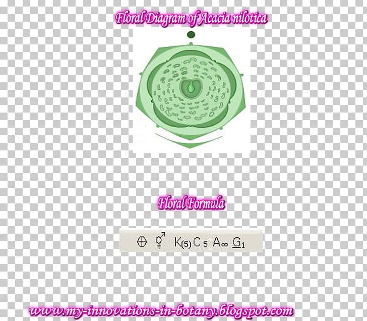 Leaf Botany Brand PNG, Clipart, Botany, Brand, Circle, Family, Genus Free PNG Download