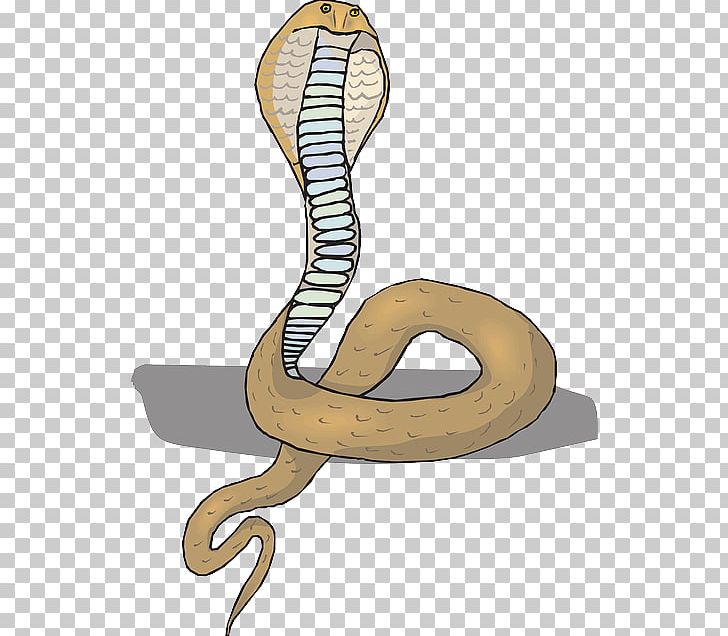 Rattlesnake King Cobra PNG, Clipart, Animals, Boa Constrictor, Boas, Cobra, Cobra Snake Free PNG Download