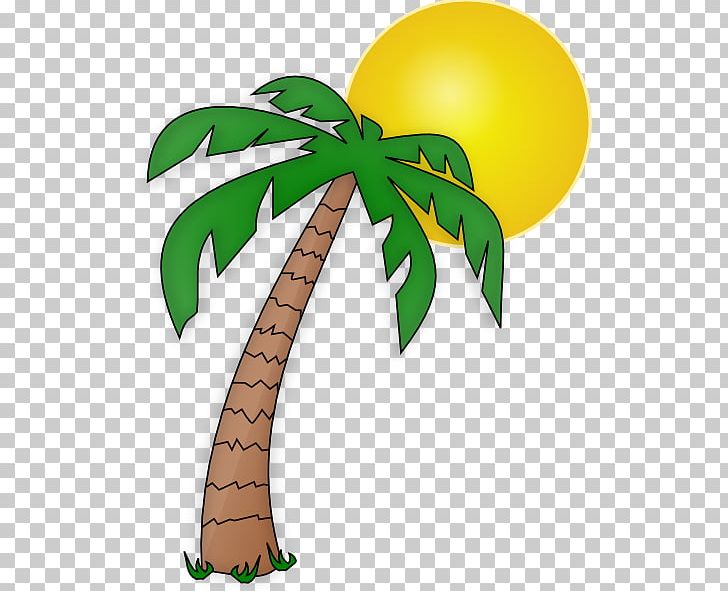 Arecaceae Cartoon PNG, Clipart, Arecaceae, Art, Cartoon, Coconut, Date Palm Free PNG Download