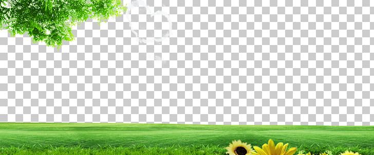 Lawn Energy Grassland Nature PNG, Clipart, Background Vector, Branch, Computer, Computer Wallpaper, Decorative Free PNG Download