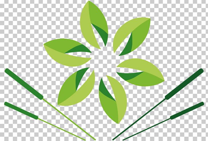 Leaf Grasses Plant Stem Tree PNG, Clipart, Acupuncture, Brand, Clip Art, Family, Flora Free PNG Download