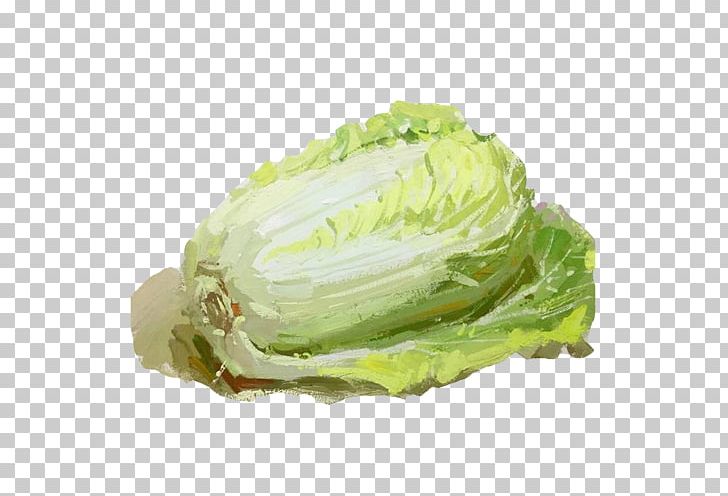 Romaine Lettuce Cabbage Vegetable Spring Greens PNG, Clipart, Chinese, Chinese Cabbage, Collard Greens, Food, Green Free PNG Download