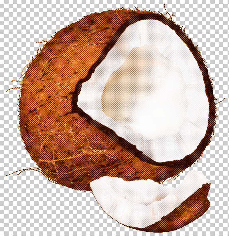Coconut PNG, Clipart, Coconut, Coconut Cream Free PNG Download