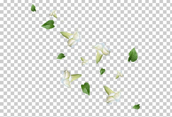 Flower Petal PNG, Clipart, Animation, Computer Software, Designer, Drawing, Flower Free PNG Download