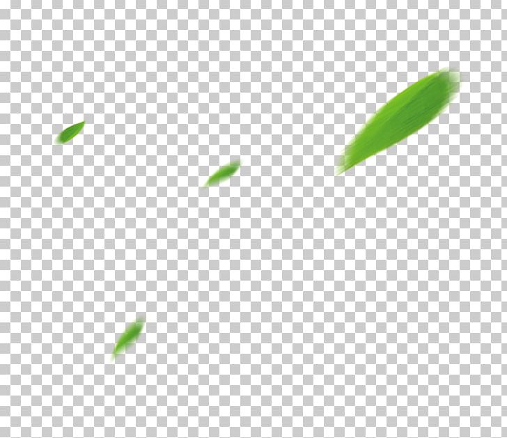Leaf Angle Pattern PNG, Clipart, Angle, Autumn Leaf, Grass, Green, Greenery Free PNG Download