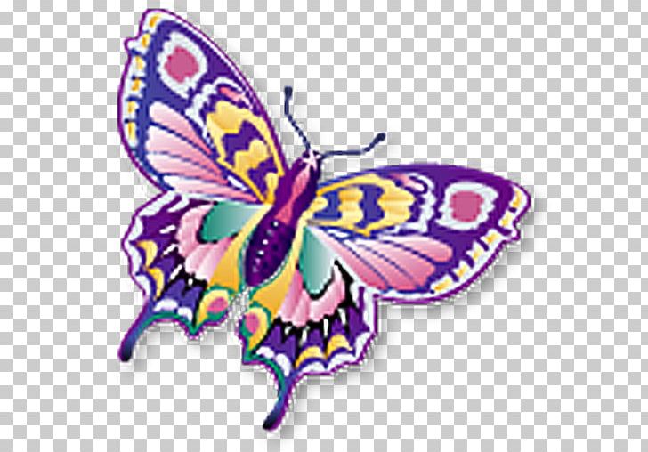 StarOffice Computer Icons Book OpenOffice PNG, Clipart, Artwork, Brush Footed Butterfly, Butterfly, Computer Software, Everaldo Coelho Free PNG Download