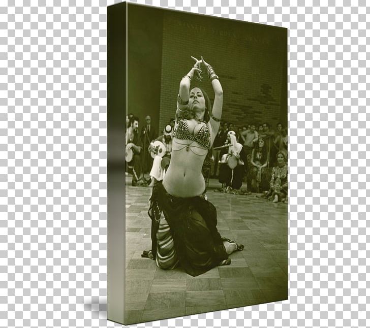 American Tribal Style Belly Dance Dance Dresses PNG, Clipart, Aesthetics, American Tribal Style Belly Dance, Art, Belly Dance, Belly Dancer Free PNG Download