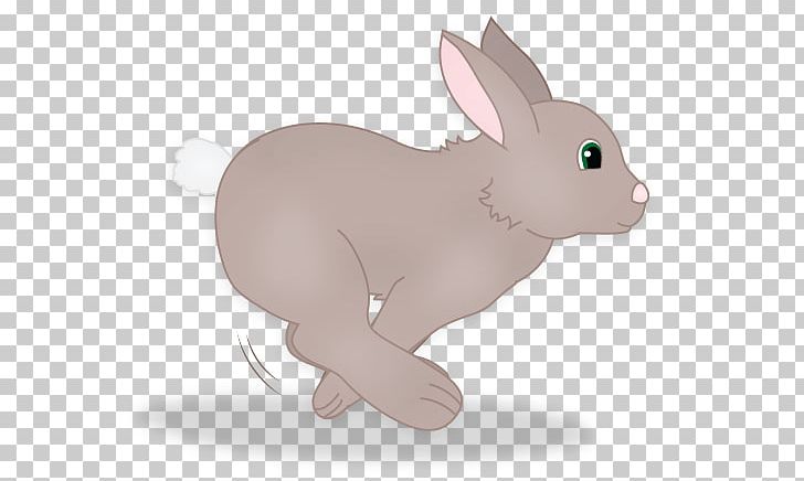 Domestic Rabbit Hare Easter Bunny Whiskers PNG, Clipart, Carnivoran, Cartoon, Domestic Rabbit, Easter, Easter Bunny Free PNG Download