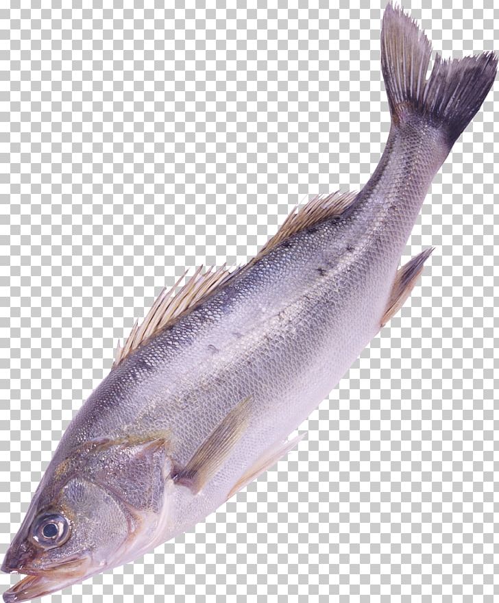 Fish Clipping Path PNG, Clipart, Anchovy, Animals, Animal Source Foods, Barramundi, Bass Free PNG Download