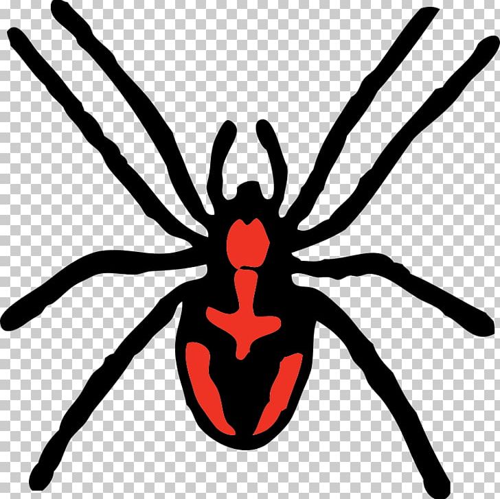 Redback Spider PNG, Clipart, Animation, Arthropod, Artwork, Download, Insect Free PNG Download