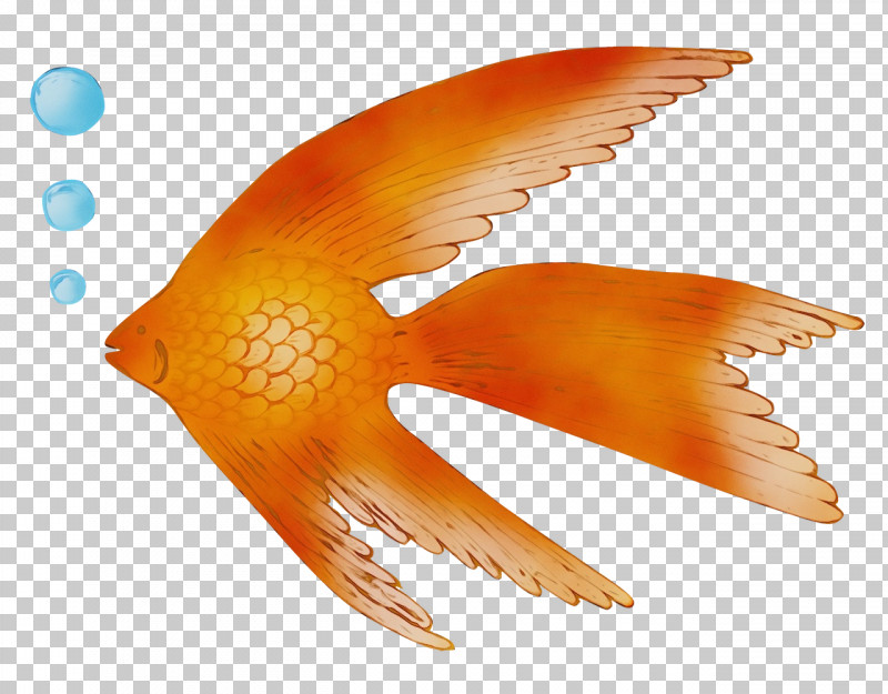 Fish Orange S.a. Wing Riba PNG, Clipart, Biology, Finland, Finnish Language, Finns, Fish Free PNG Download
