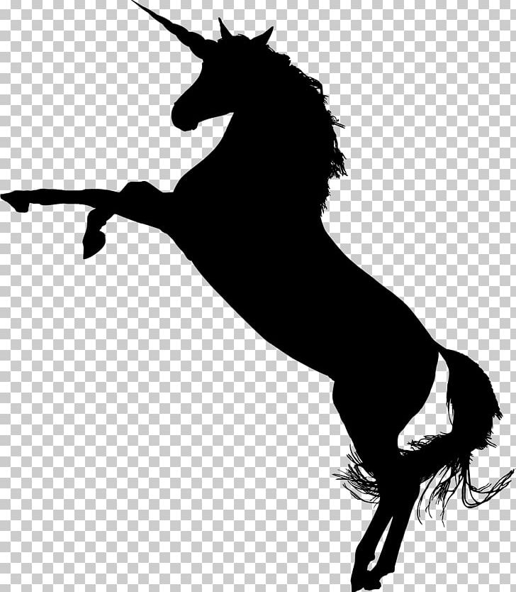 American Quarter Horse Standing Horse Rearing PNG, Clipart, Animals, Black And White, Canter And Gallop, Colt, Download Free PNG Download