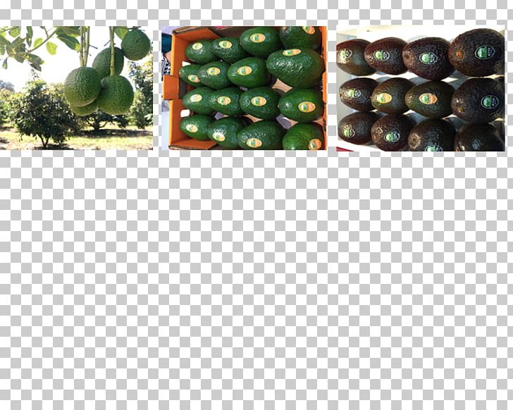 Bead Fruit PNG, Clipart, Bead, Fruit, Grass, Hass Avocado Free PNG Download