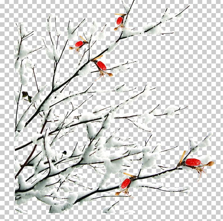 Daxue Dongzhi Dahan Snow Solar Term PNG, Clipart, Antiquity, Art, Beak, Bird, Black And White Free PNG Download