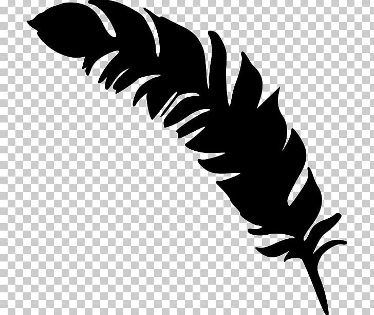 Feather Drawing PNG, Clipart, Animals, Artwork, Beak, Black, Black And White Free PNG Download