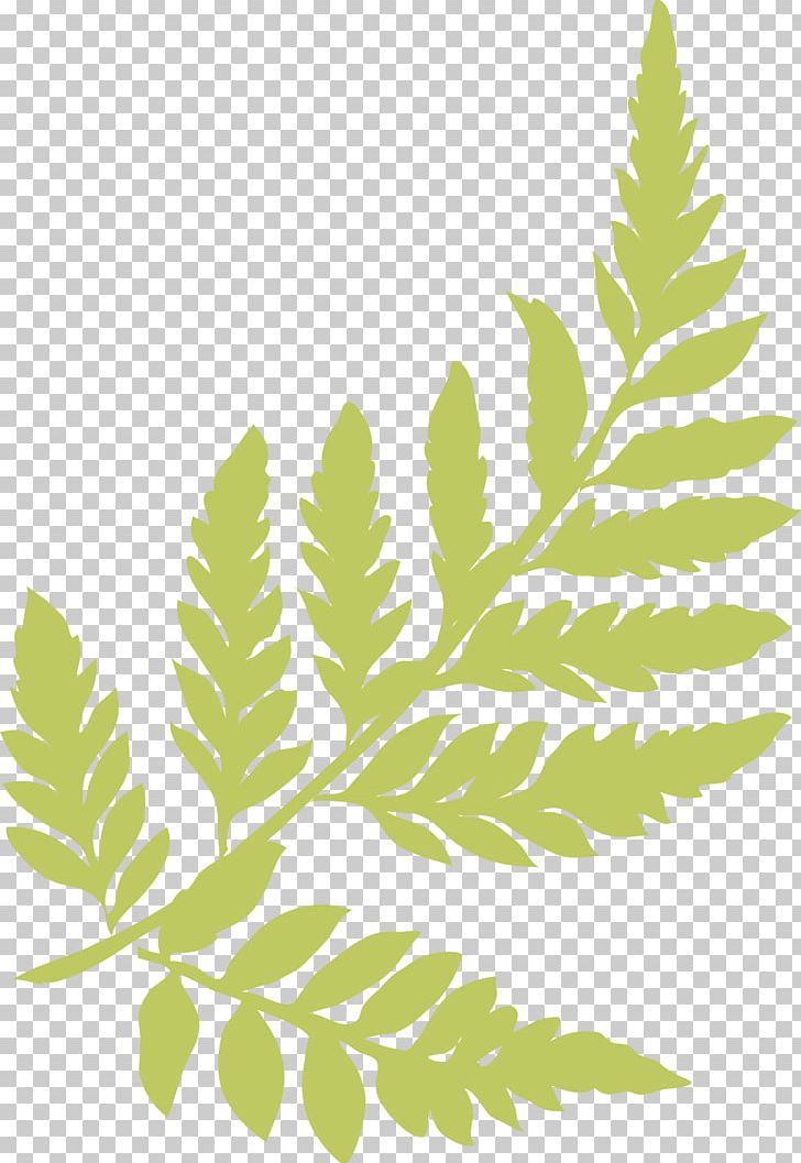 Plant Leaf Green PNG, Clipart, Branch, Clover, Decorative, Decorative Pattern, Euclidean Vector Free PNG Download