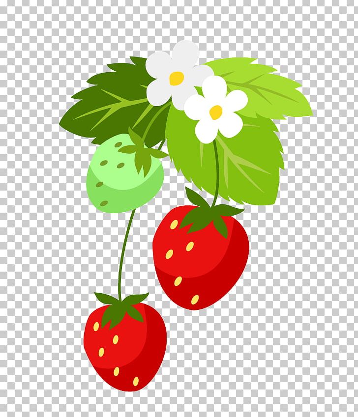 Strawberry Leaf Flower PNG, Clipart, Branch, Flower, Flowering Plant, Food, Fruit Free PNG Download