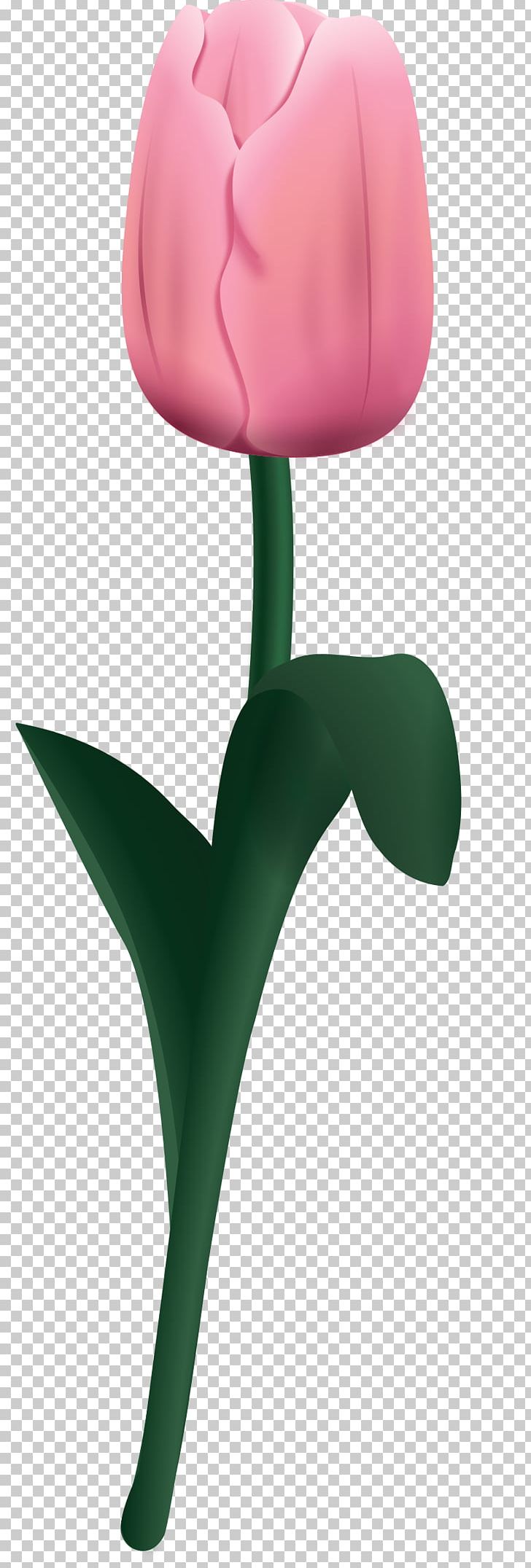 Drawing Tulip Flower PNG, Clipart, Blossoms, Download, Drawing, Encapsulated Postscript, Facebook Free PNG Download