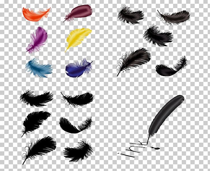 Feather Quill Adobe Illustrator PNG, Clipart, Adobe Illustrator, Animals, Color, Coreldraw, Creative Free PNG Download